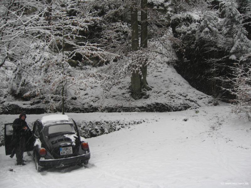 0112_Der_K�fer_im_Schnee
