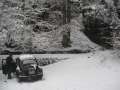 0112_Der_K�fer_im_Schnee