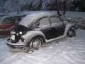 0150_K�fer