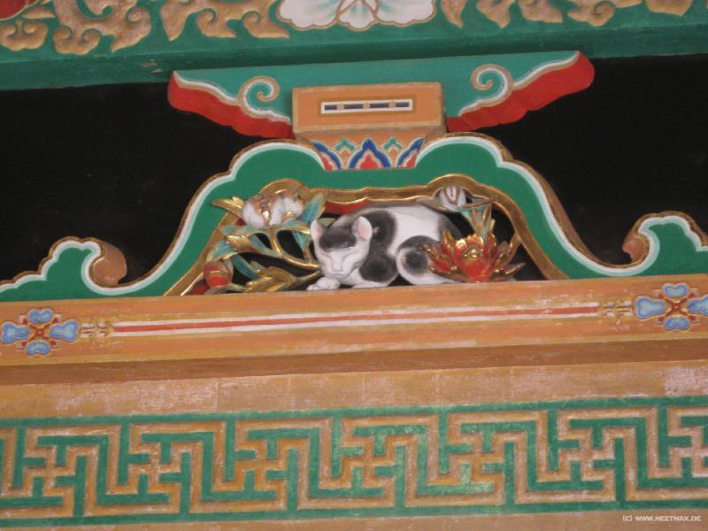 0920_Sleeping_cat