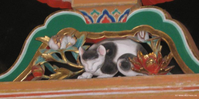 0921_Sleeping_cat