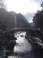 1010_Shinkyo