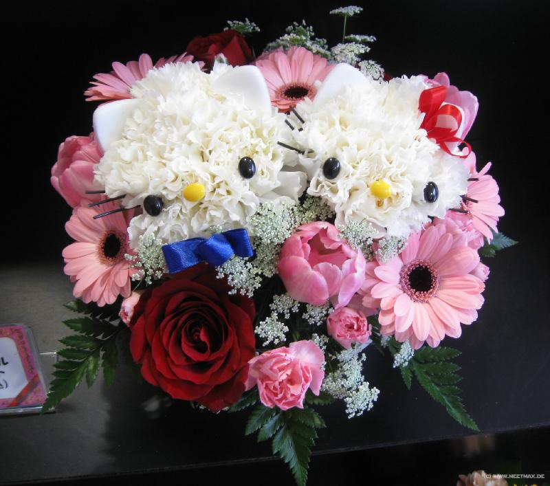 1196_Kitty_flowers