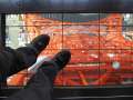 1227_Glass_bottom