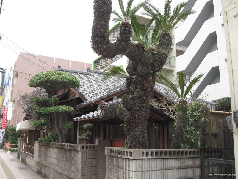 1411_Kagoshima