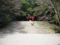 1609_Kirishima-jingu