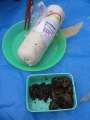 1716_Fruit_cheese_and_seafood