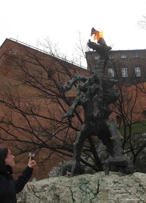2886_Fire