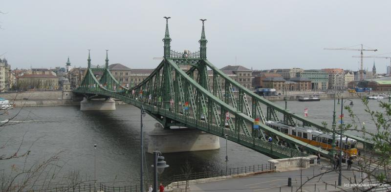 3144_Szabadsag_bridge