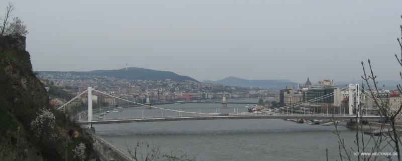 3153_Elisabeth_bridge