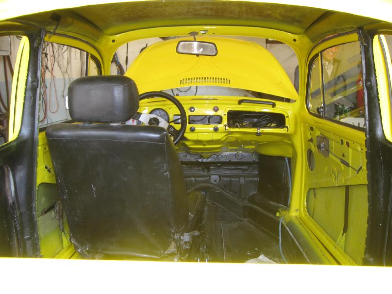 4170_Cross_Beetle