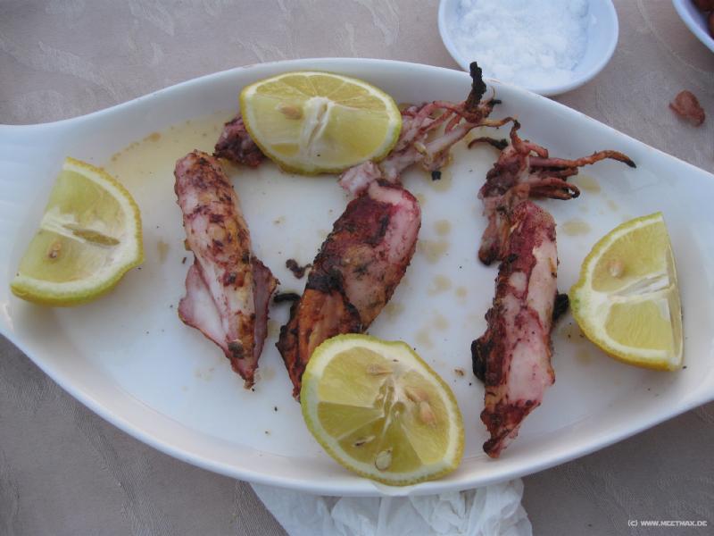 4196_Squid