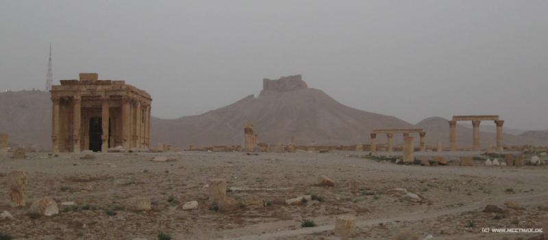 4555_Palmyra