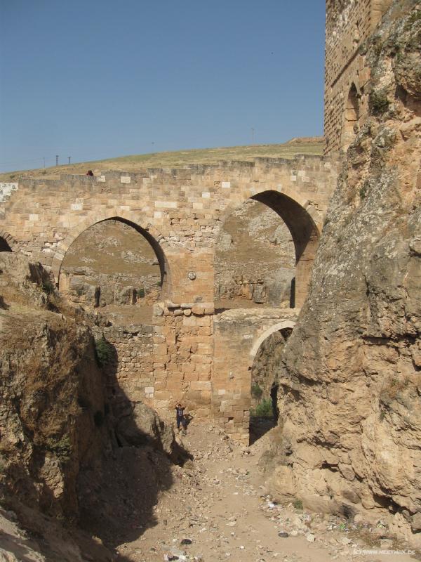 4678_Shayzar