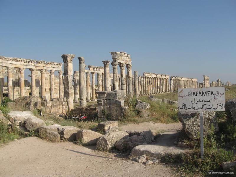4768_Apamea