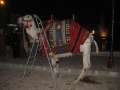 4863_Camel_stairs