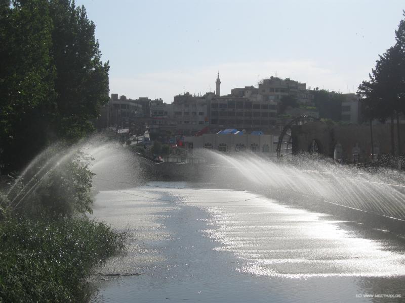 5158_Hama
