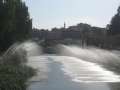 5158_Hama