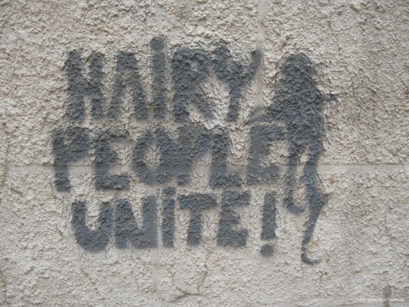 5550_Hairy_people_unite