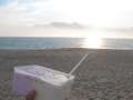 6683_Icecream