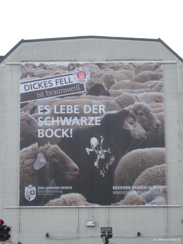 7365_Braunweiss