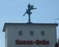9731_Hasen-Br&auml;u