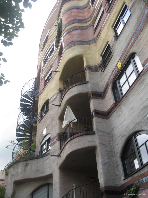 9019_Waldspirale
