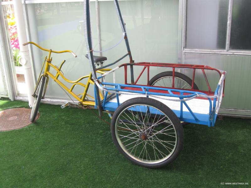 0995_Dutch_bike