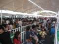 1205_Japan_queues