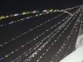 1339_Prayer_flags