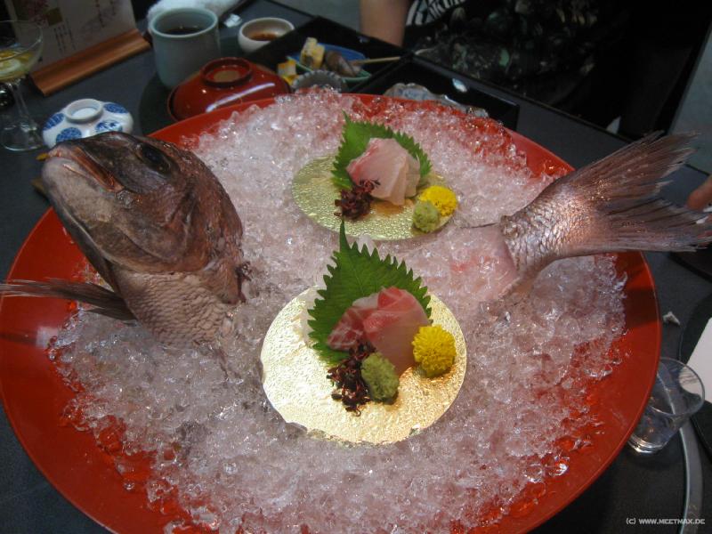 1548_Fish