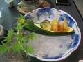 1550_Special_Zucchini