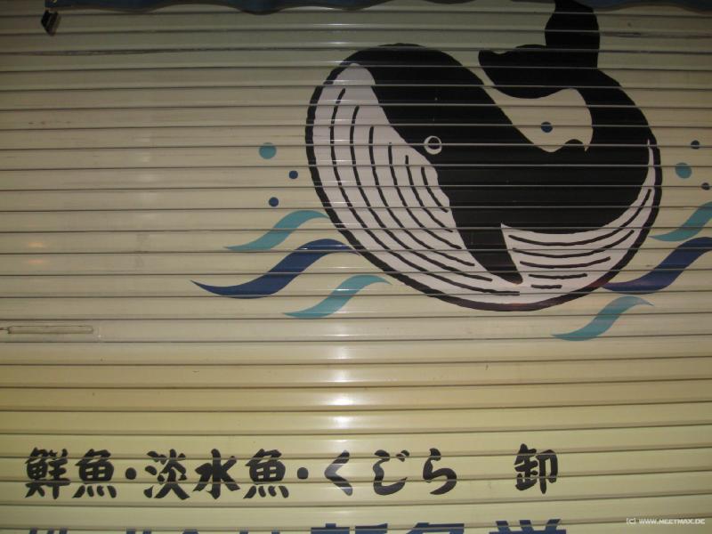 1715_Whale_shop