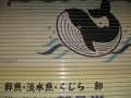1715_Whale_shop