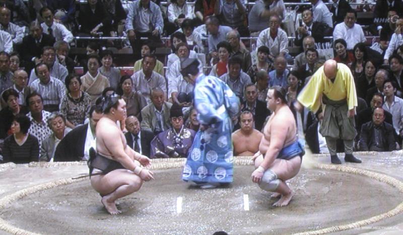 1915_Sumo