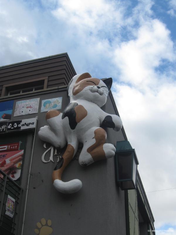 1992_Cat