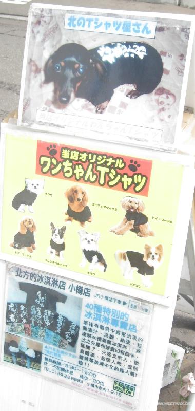 2016_Dog_tailor
