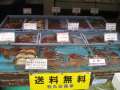 1997_Seafood