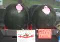 2128_Cheap_watermelon