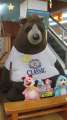 2197_Sapporo_bear