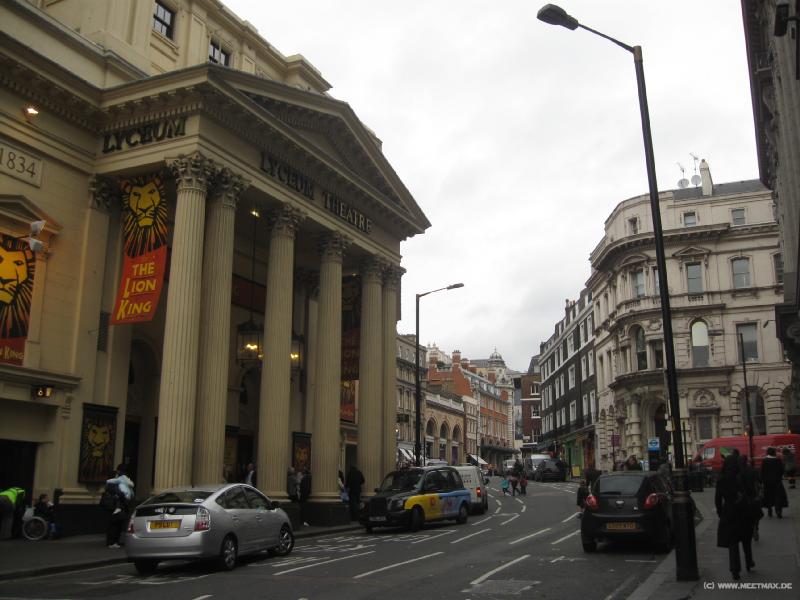 3230_Lion_King