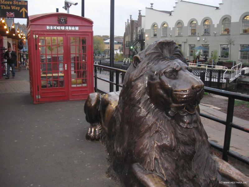 3283_Security_lion