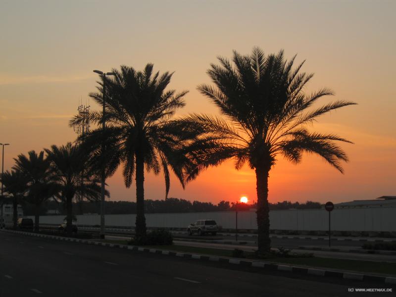 0155_Sunset