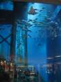 0092_Aquarium