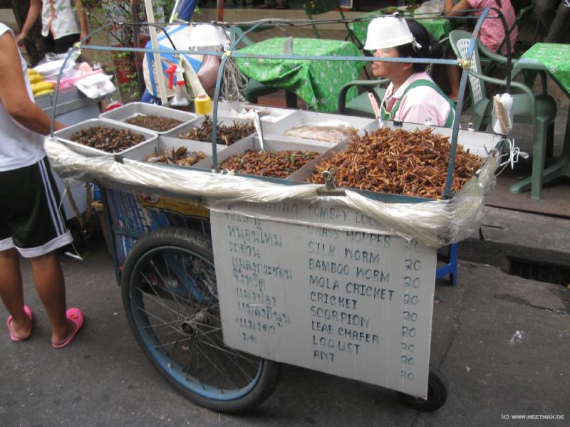 0166_Insektensnacks