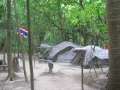 4167_Jungle_camp