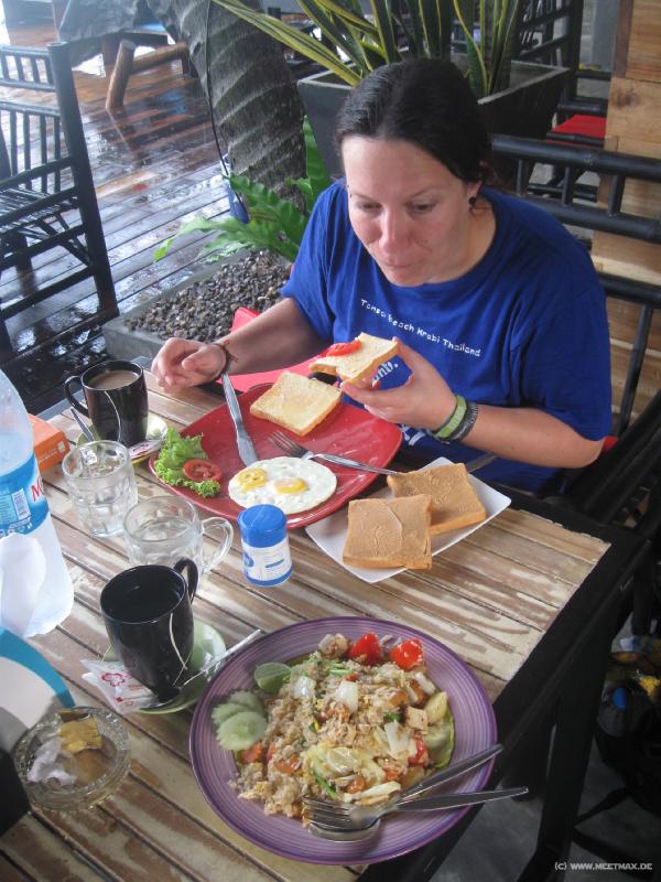 4411_Cats_breakfast