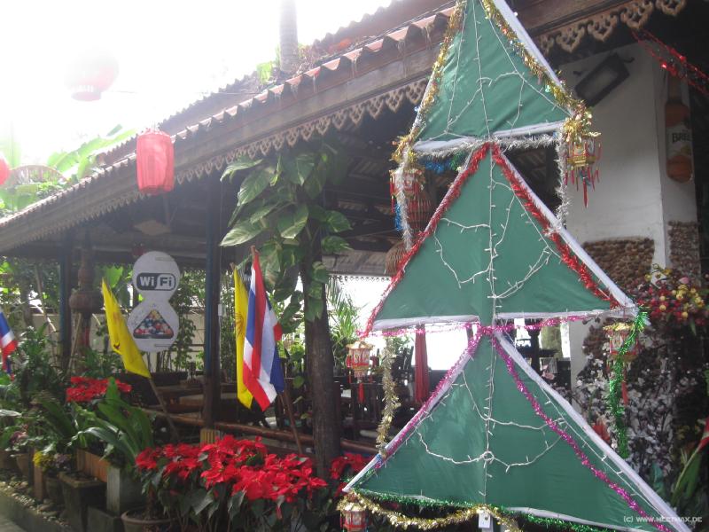 4418_Christmas_tree