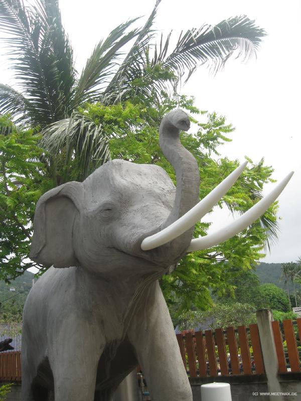 4420_Elephant
