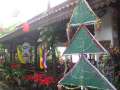 4418_Christmas_tree